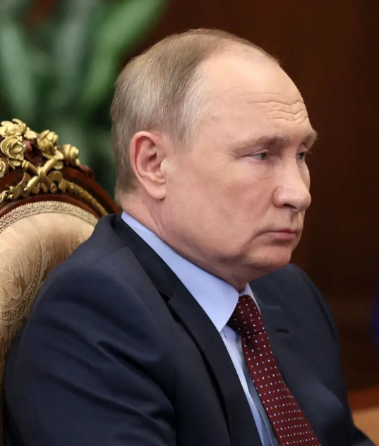 Bild: Der echte Putin